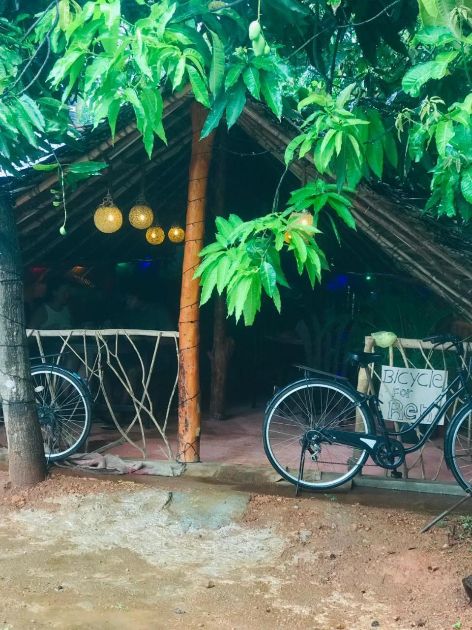 Sigiri Sara Home Stay Nice Village Sigirîya Extérieur photo